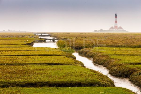 Wandbild Leuchtturm Westerheversand