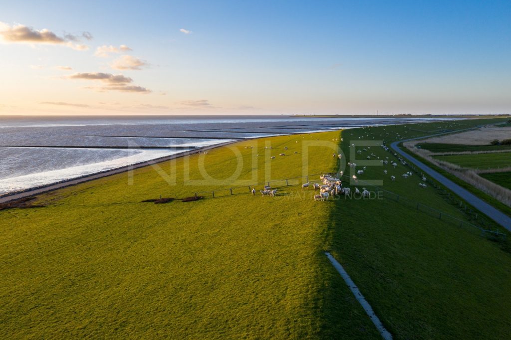Wandbilder Deich auf Nordstrand Landschaften des Nordens